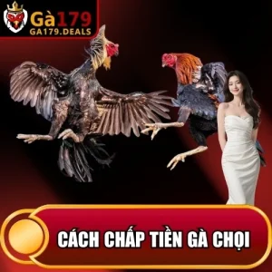 http://fauktilar.za.com/wp-content/uploads/2026/04/cach-chap-tien-ga-choi.webp