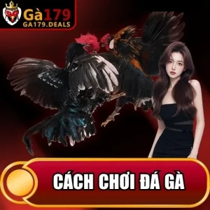 http://fauktilar.za.com/wp-content/uploads/2026/04/cach-choi-da-ga.webp