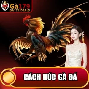 http://fauktilar.za.com/wp-content/uploads/2026/04/cach-duc-ga-da.webp