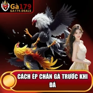 http://fauktilar.za.com/wp-content/uploads/2026/04/cach-ep-chan-ga-truoc-khi-da.webp
