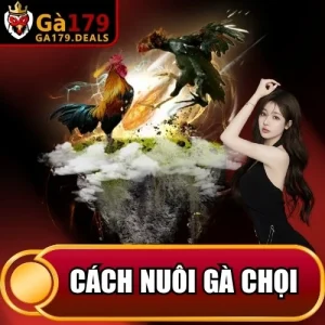 http://fauktilar.za.com/wp-content/uploads/2026/04/cach-nuoi-ga-choi.webp