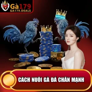http://fauktilar.za.com/wp-content/uploads/2026/04/cach-nuoi-ga-da-chan-manh.webp