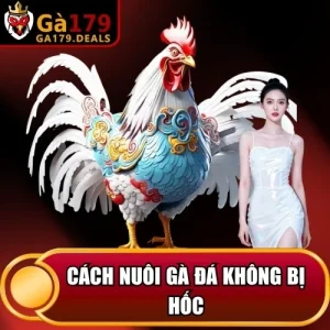 http://fauktilar.za.com/wp-content/uploads/2026/04/cach-nuoi-ga-da-khong-bi-hoc.webp