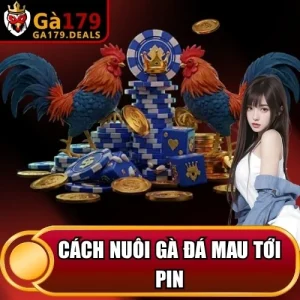 http://fauktilar.za.com/wp-content/uploads/2026/04/cach-nuoi-ga-da-mau-toi-pin.webp