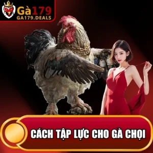 http://fauktilar.za.com/wp-content/uploads/2026/04/cach-tap-luc-cho-ga-choi.webp