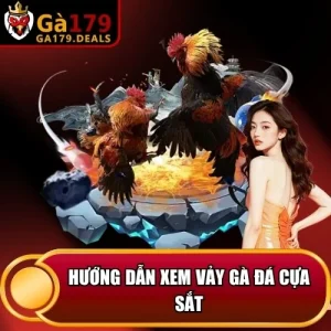 http://fauktilar.za.com/wp-content/uploads/2026/04/huong-dan-xem-vay-ga-da-cua-sat.webp