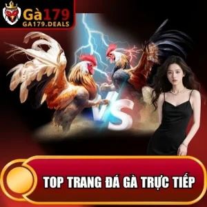 http://fauktilar.za.com/wp-content/uploads/2026/04/top-trang-da-ga-truc-tiep.webp